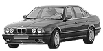 BMW E34 P3695 Fault Code